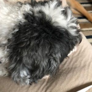 Meet your Posher, Marcy